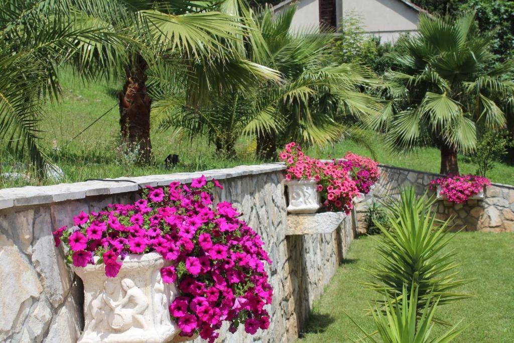 Elegance Duplexes By Monte Aria Herceg Novi Dış mekan fotoğraf